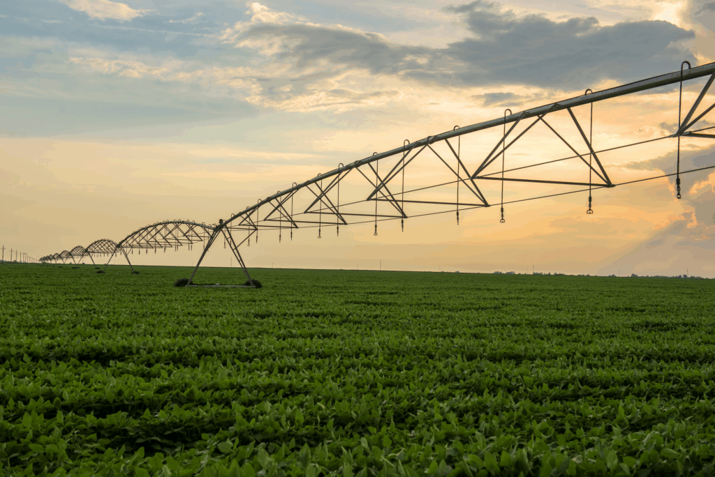 Como proteger a lavoura desde a plantação Como proteger a lavoura desde a plantação