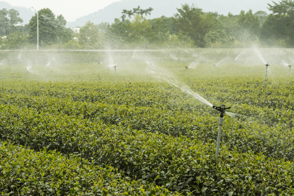 Como o agronegócio brasileiro vem ganhando visibilidade internacional Como o agronegócio brasileiro vem ganhando visibilidade internacional